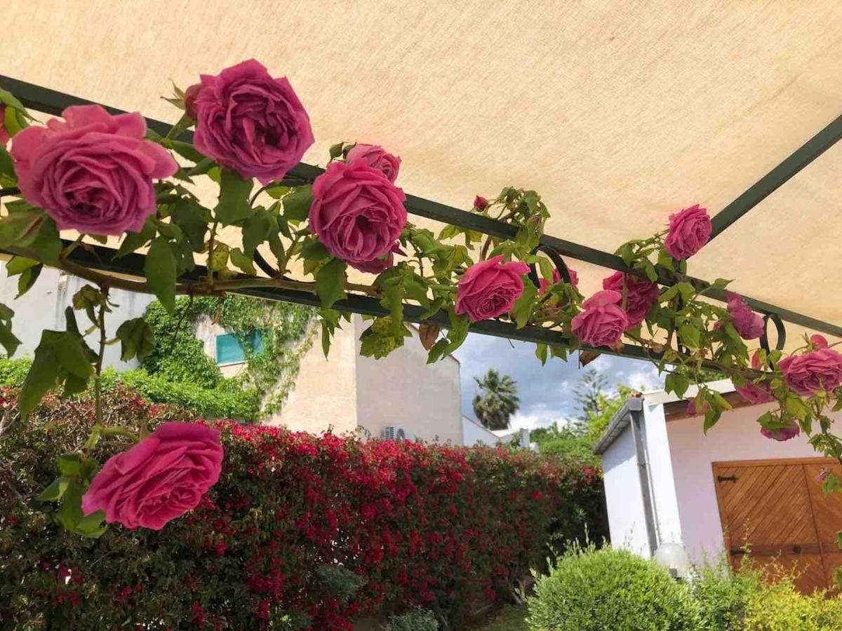 Villa Le tre Palme à Fontane Bianche Extérieur photo